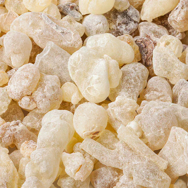 Frankincense Essential Oil: The Science of Calm, Skin Repair & Daily Rituals